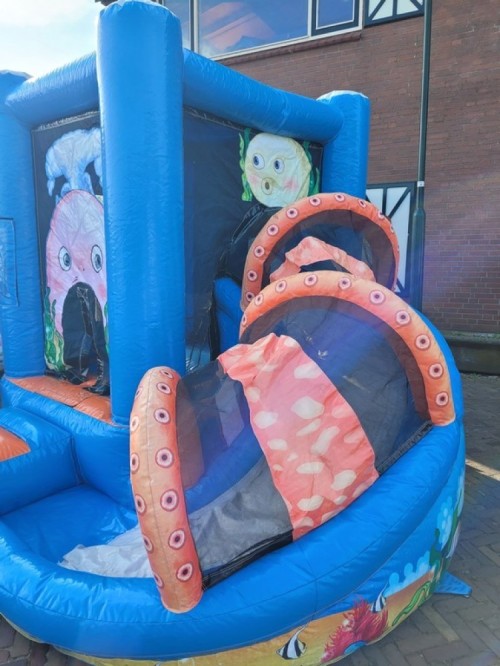 Springkussen Mini walvis met slide
